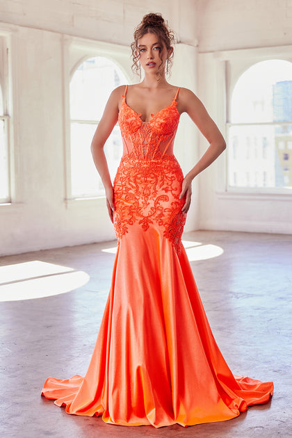 A Line V Neck Orange Lace Long Prom Dress, Orange Lace Formal Dress, O –  abcprom