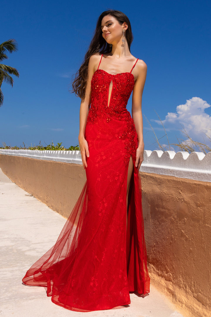 Applique Sleeveless Slit Gown by Amelia Couture 7064