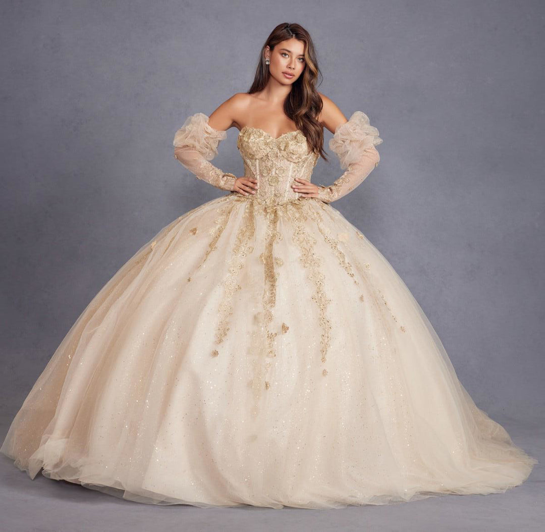 3D Floral Puff Sleeve Ball Gown by Juliet JT1465H