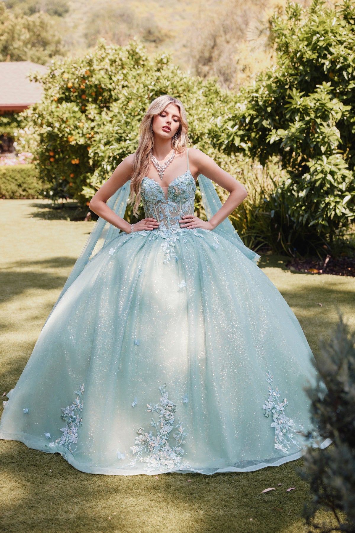 Quinceanera Dresses 2024 Ball Gowns 2024 Vestidos de Quinceanera Tagged 4 ABC Fashion