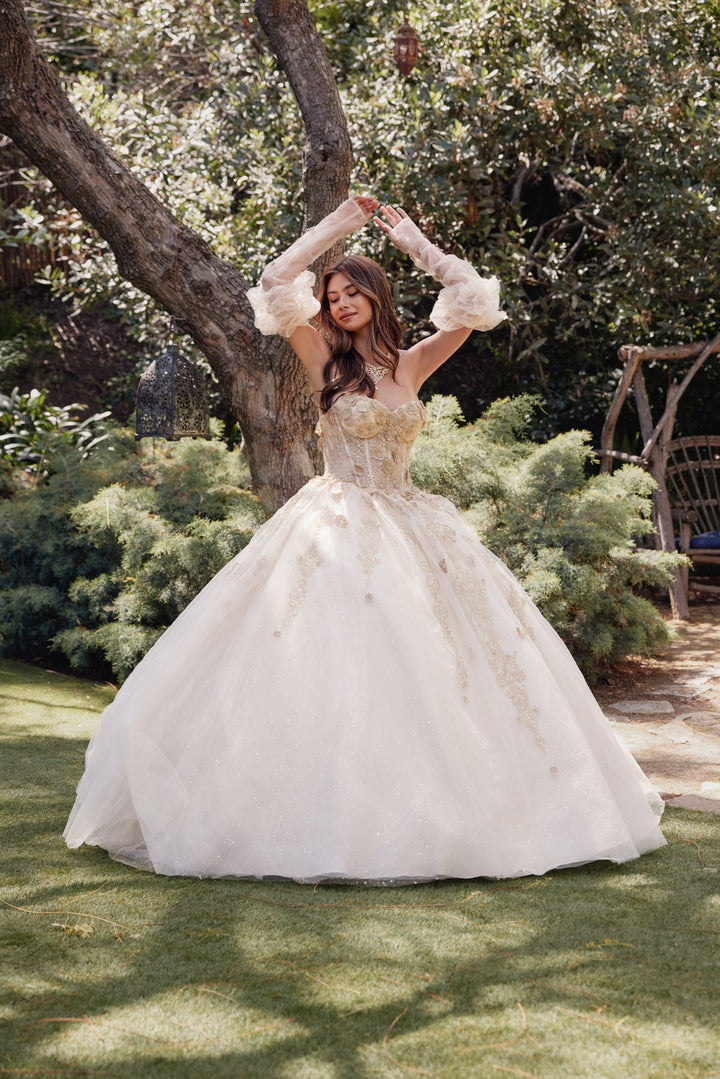 3D Floral Puff Sleeve Ball Gown by Juliet JT1465H