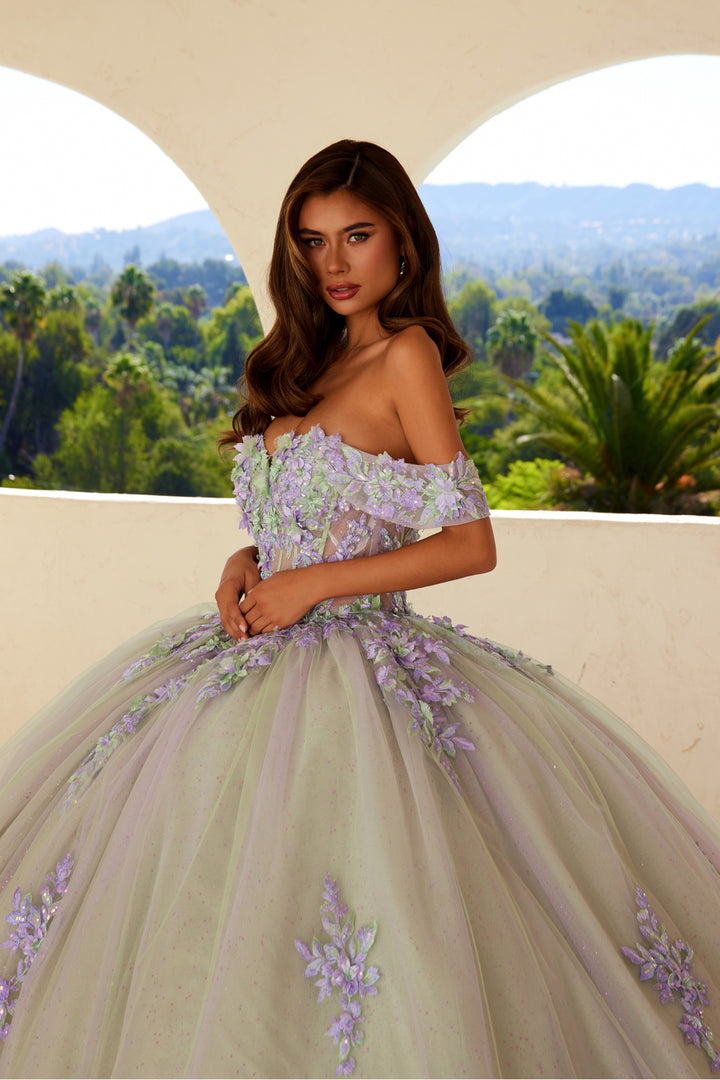 Applique Off Shoulder Ball Gown by Juliet JT1479J