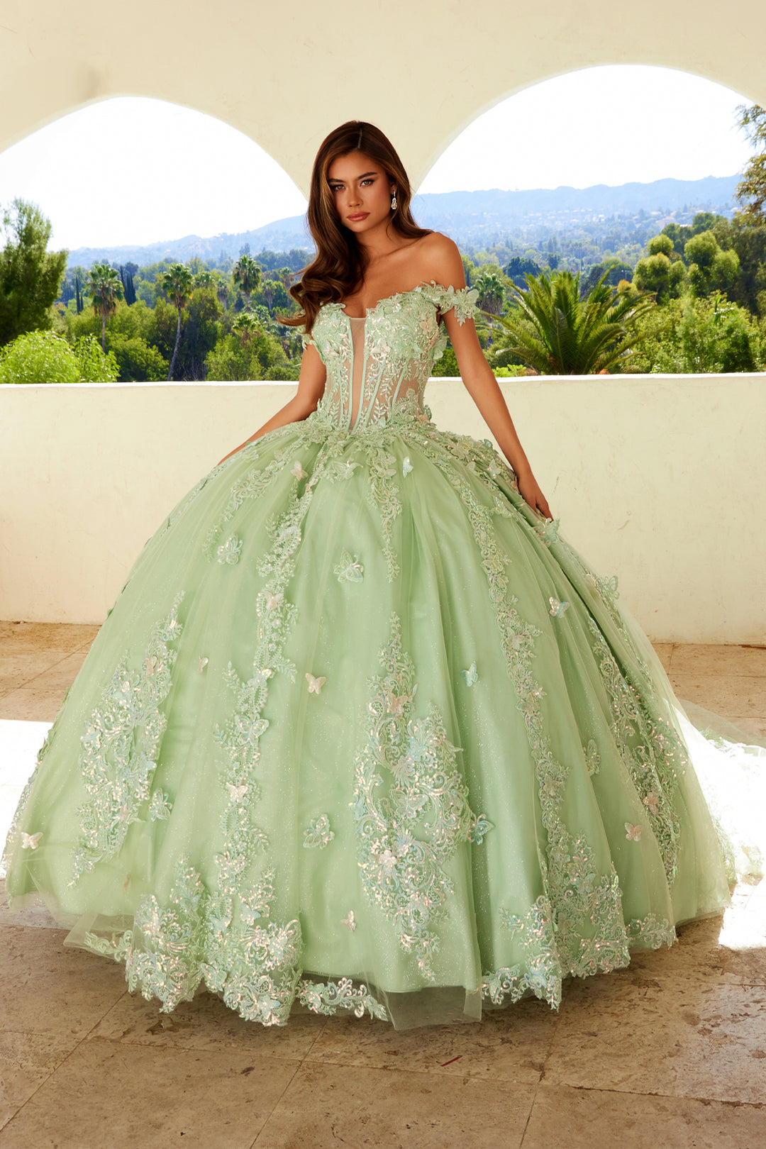 3D Butterfly Off Shoulder Ball Gown by Juliet JT1485J