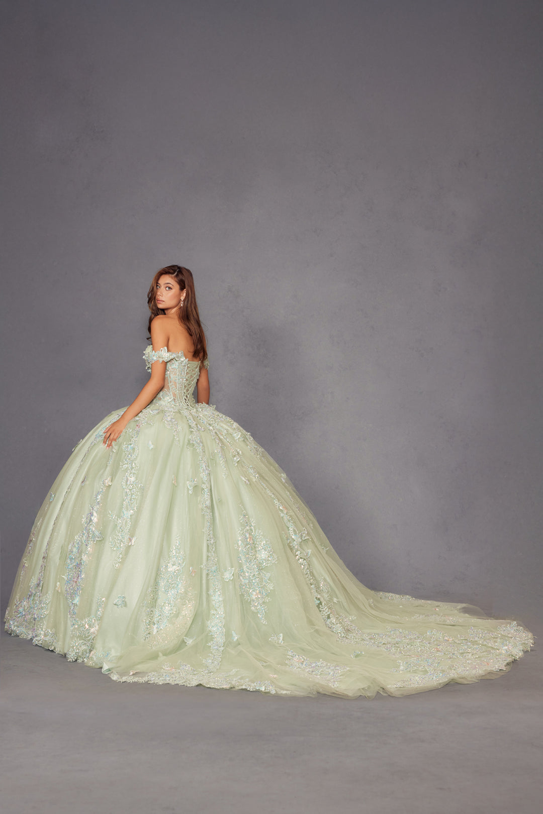 3D Butterfly Off Shoulder Ball Gown by Juliet JT1485J