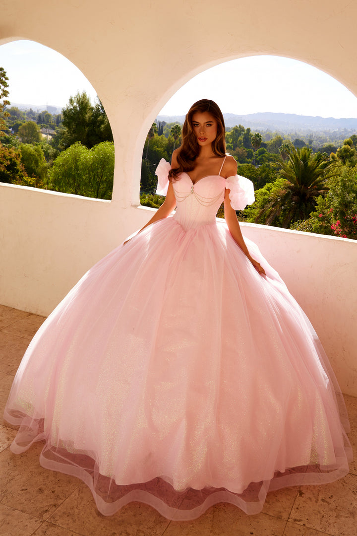 Glitter Tulle Off Shoulder Ball Gown by Juliet JT1487H