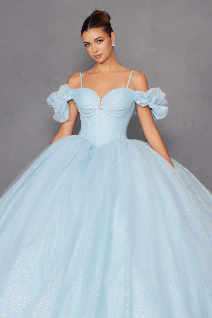 Glitter Tulle Off Shoulder Ball Gown by Juliet JT1487H