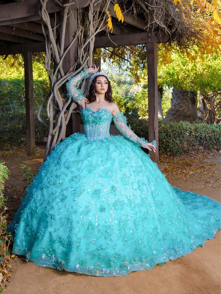 Long Sleeve Strapless Ball Gown by LizLuo Quince 26085