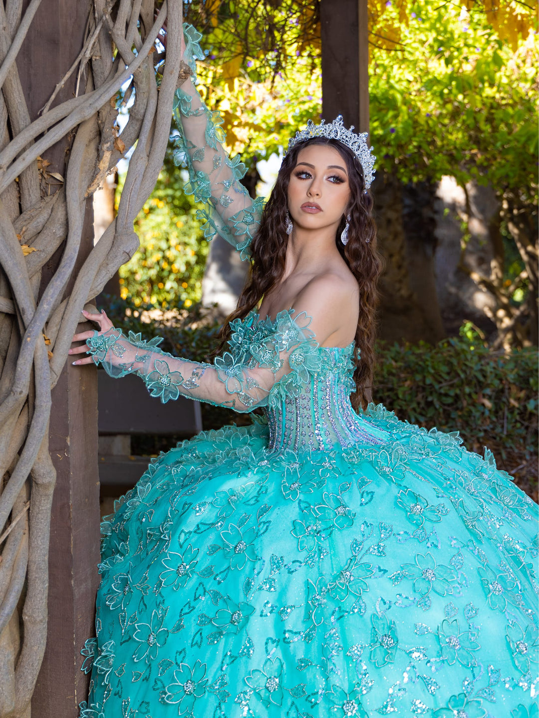 Long Sleeve Strapless Ball Gown by LizLuo Quince 26085