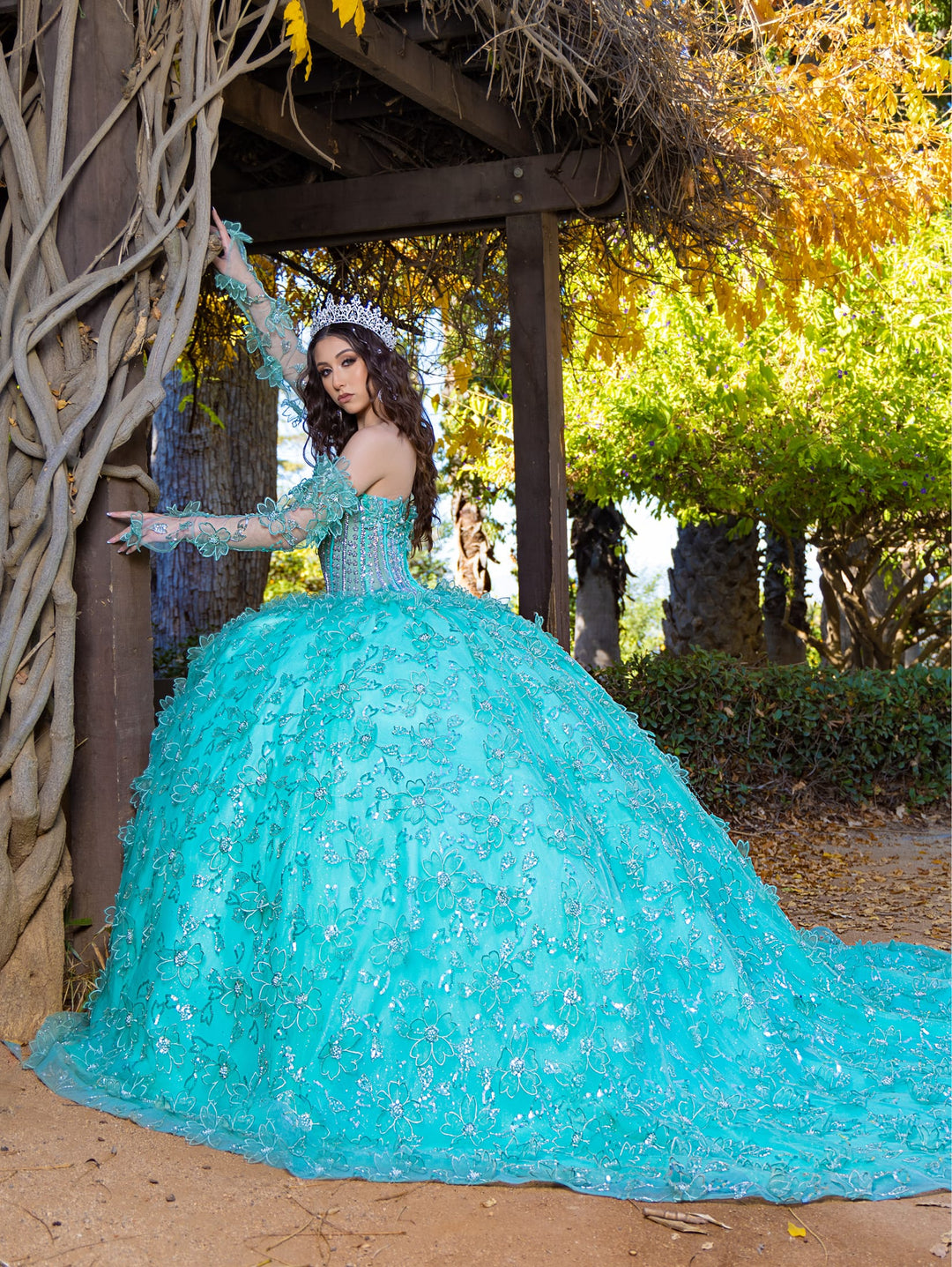 Long Sleeve Strapless Ball Gown by LizLuo Quince 26085