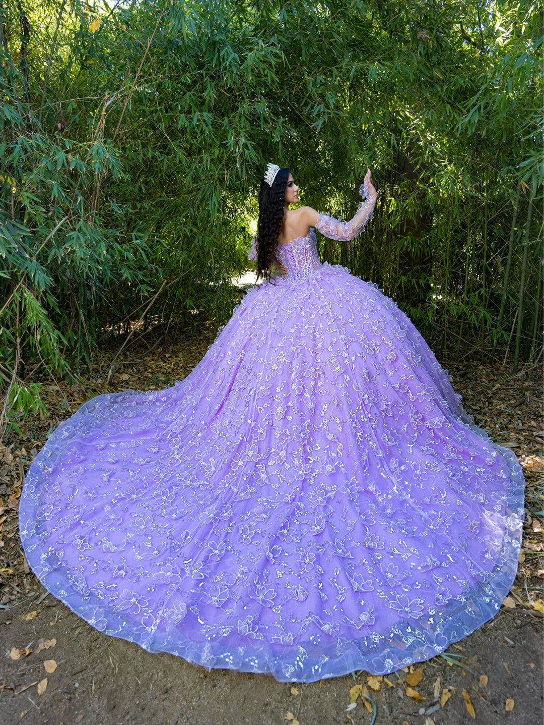 Long Sleeve Strapless Ball Gown by LizLuo Quince 26085