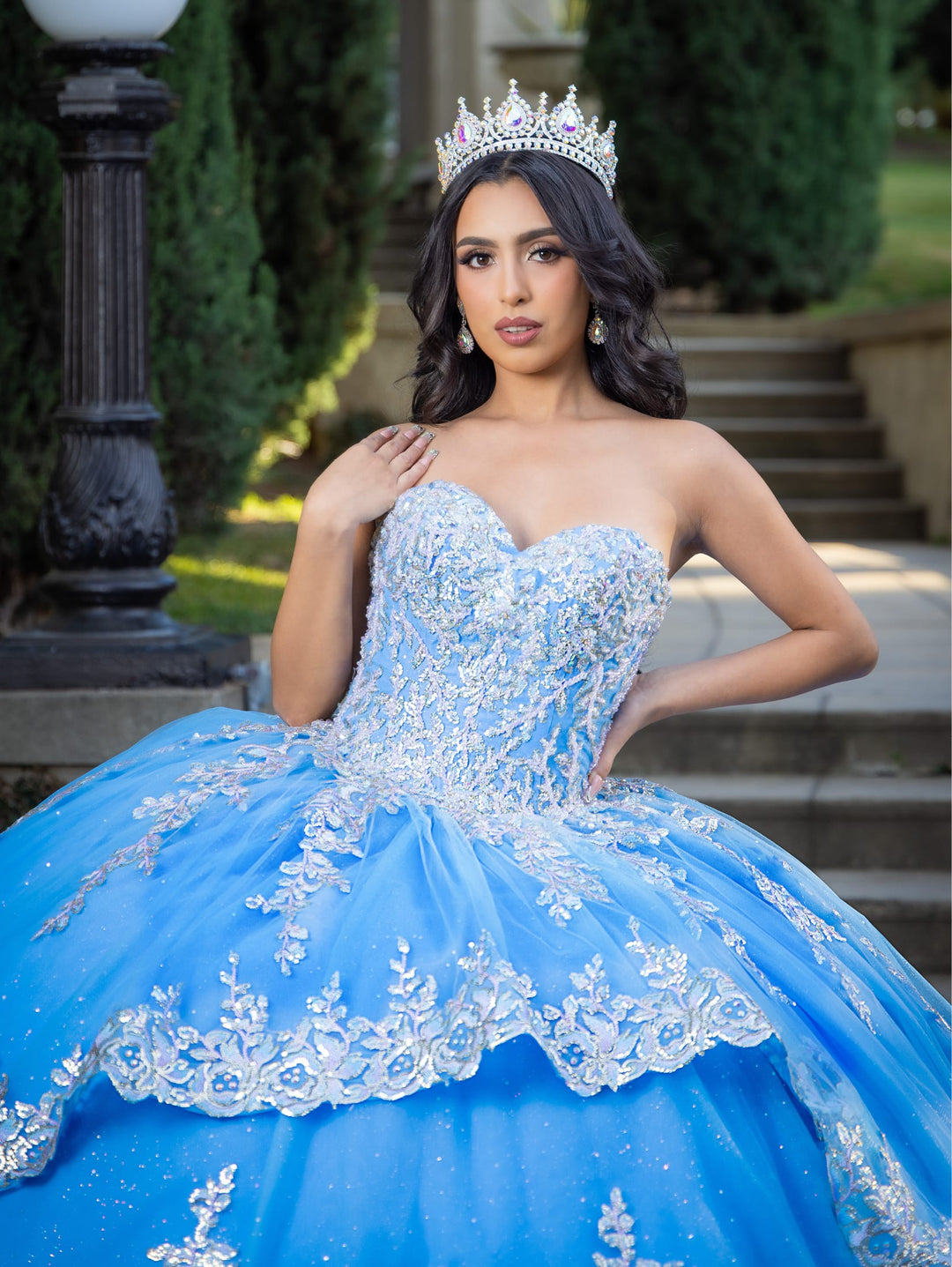 Applique Sweetheart Ball Gown by LizLuo Quince 26090