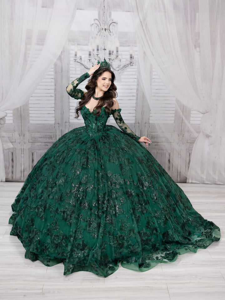 Applique Long Sleeve Ball Gown by LizLuo Quince 26092