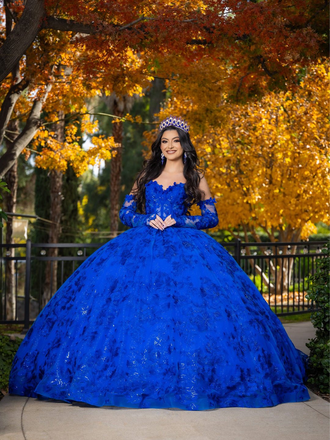 Applique Long Sleeve Ball Gown by LizLuo Quince 26092