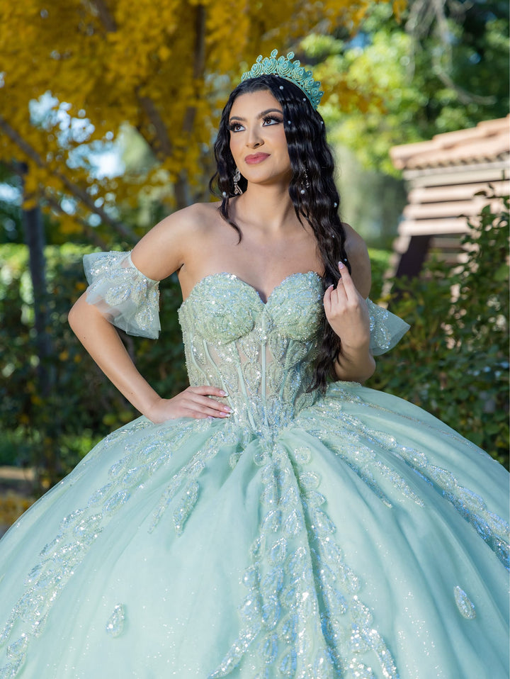 Strapless Corset Ball Gown by LizLuo Quince 26096