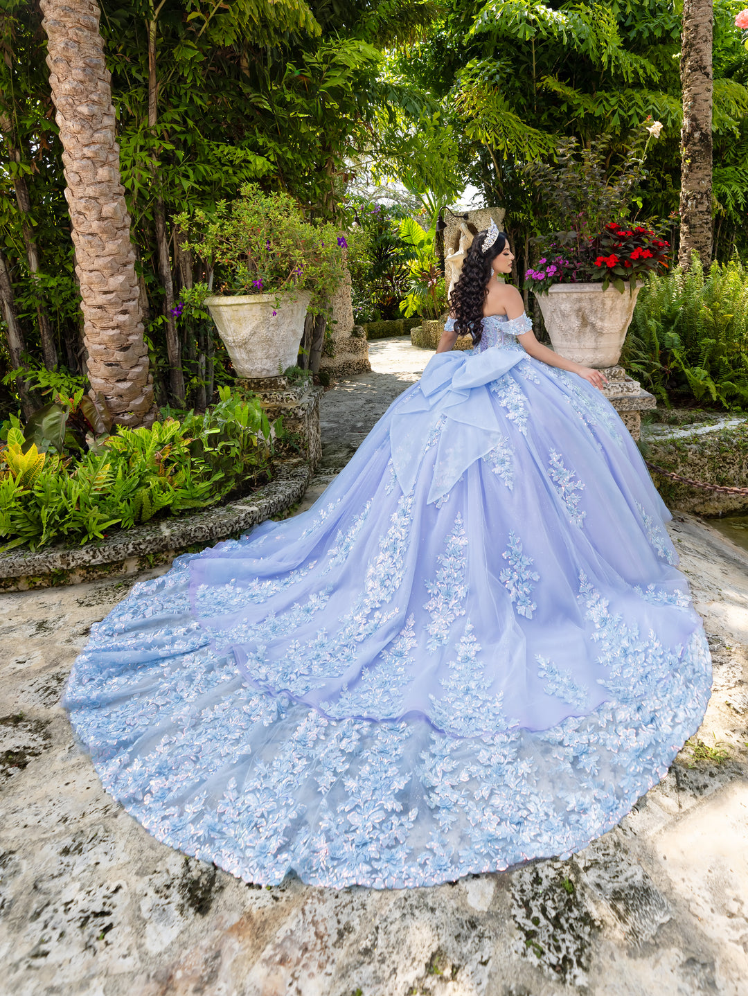 Applique Sweetheart Ball Gown by LizLuo Quince 26100