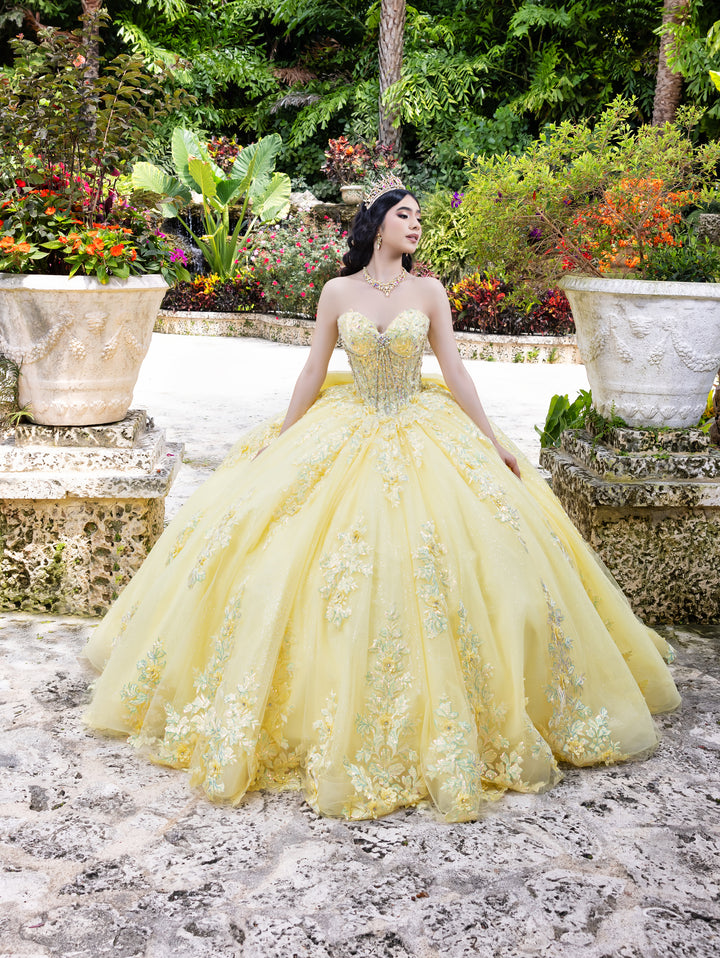 Applique Sweetheart Ball Gown by LizLuo Quince 26100