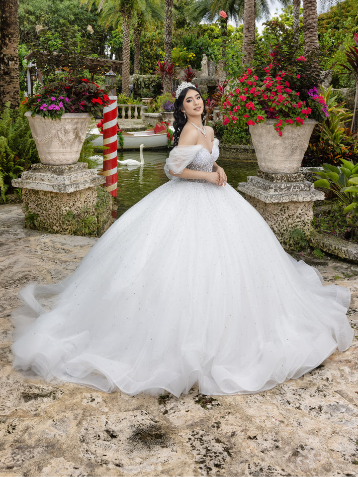 Puff Sleeve Strapless Ball Gown by LizLuo Quince 26102