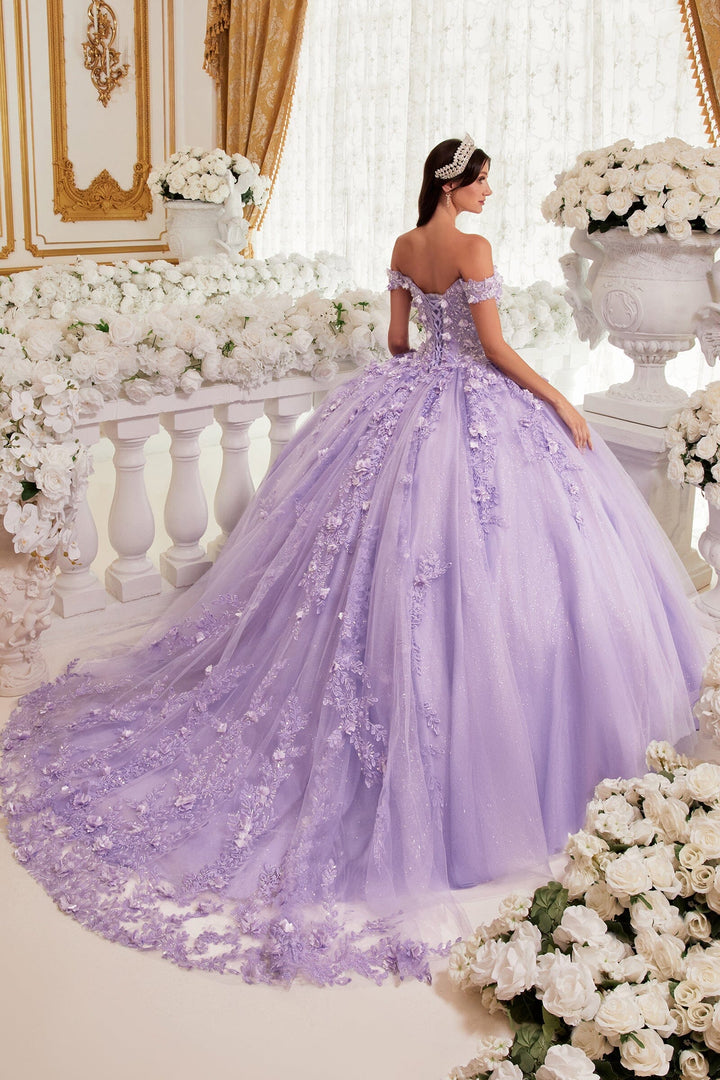 3D Floral Applique Off Shoulder Ball Gown by Ladivine 15717