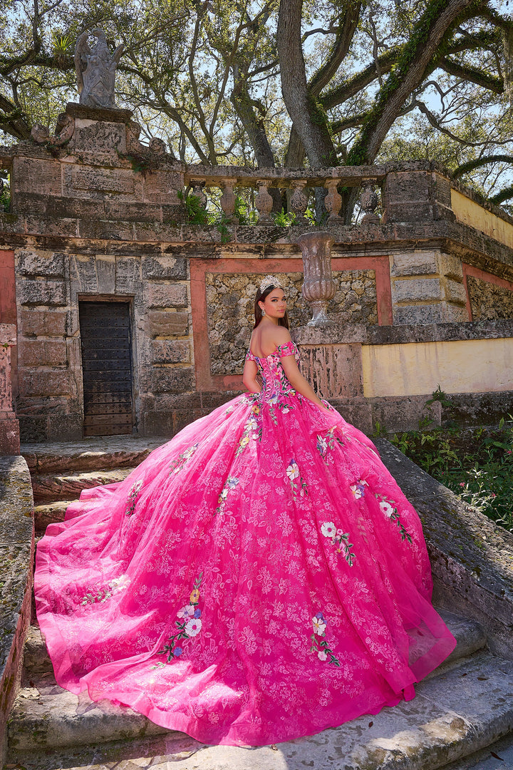 Floral Embroidered Quinceanera Dress by Amarra 54200