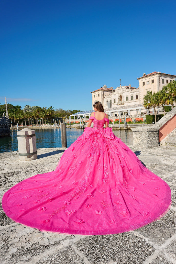 Sequin Long Sleeve Quinceanera Dress by Amarra 54204