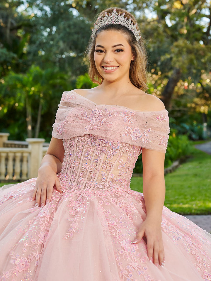 Long Sleeve Quinceanera Dress by LizLuo Fiesta 56508