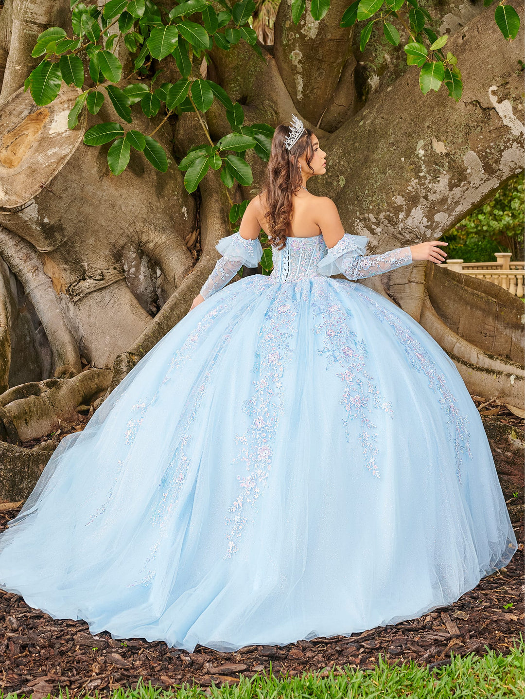 Long Sleeve Quinceanera Dress by LizLuo Fiesta 56508