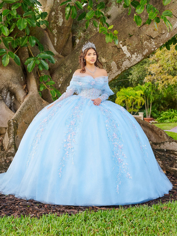 Long Sleeve Quinceanera Dress by LizLuo Fiesta 56508