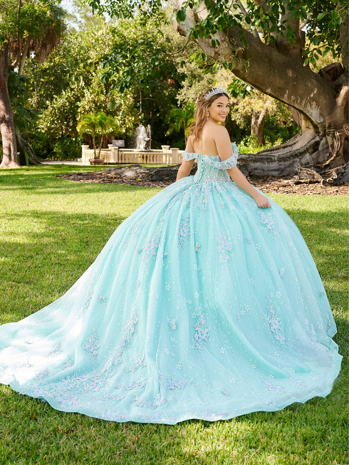 3D Butterfly Quinceanera Dress by LizLuo Fiesta 56515