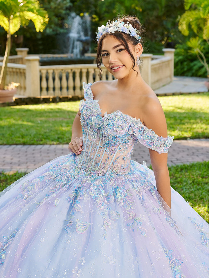 3D Butterfly Quinceanera Dress by LizLuo Fiesta 56515