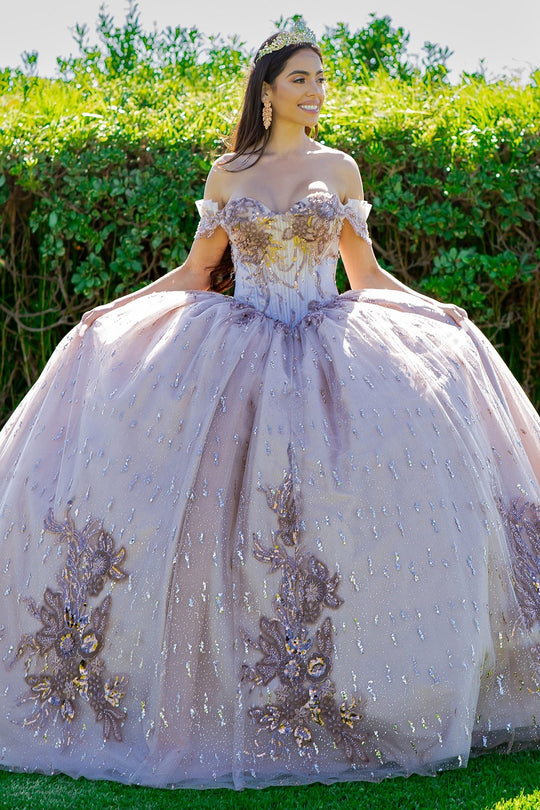 Quinceanera Dresses 2024 | Ball Gowns 2024 | Vestidos de Quinceanera ...