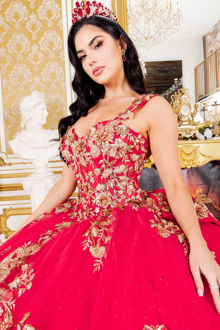 Applique Sleeveless Ball Gown by Cinderella Couture 8310J