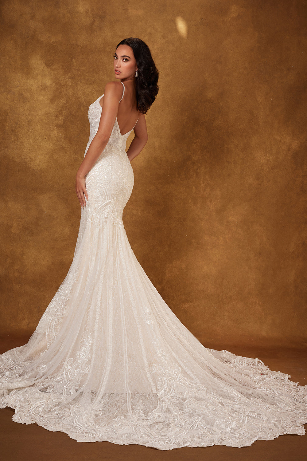 Lace V-Neck Mermaid Bridal Gown by Abby Lane 97128