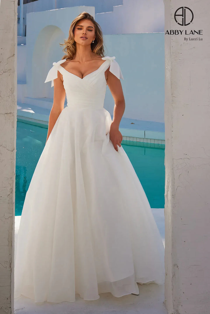 Organza V-Neck A-line Bridal Gown by Abby Lane 97286