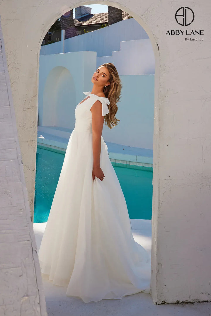 Organza V-Neck A-line Bridal Gown by Abby Lane 97286