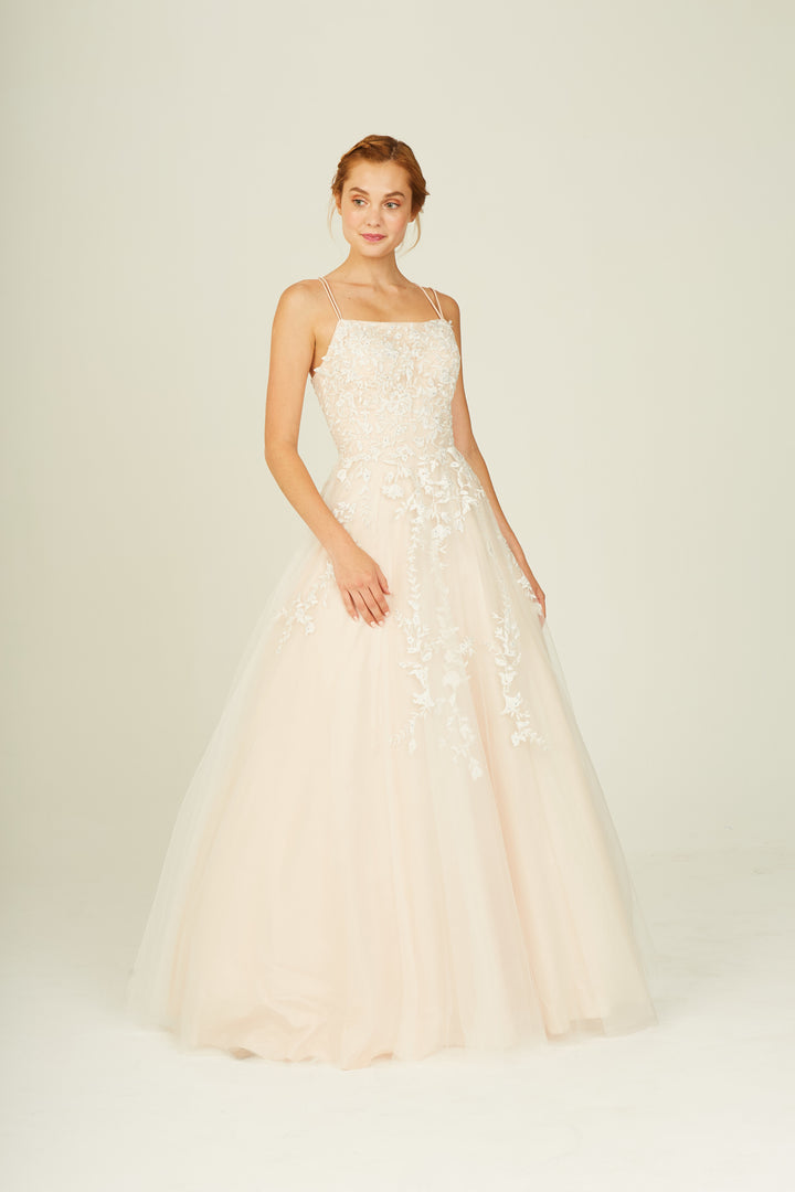 Embroidered Sleeveless A-line Gown by Eureka 9757