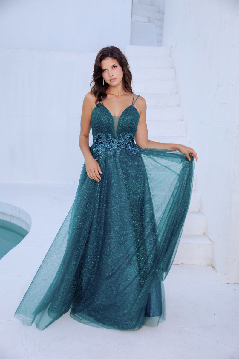 Applique Sleeveless A-line Gown by Eureka 9797