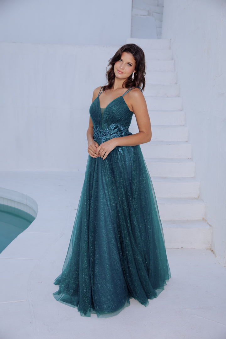 Applique Sleeveless A-line Gown by Eureka 9797