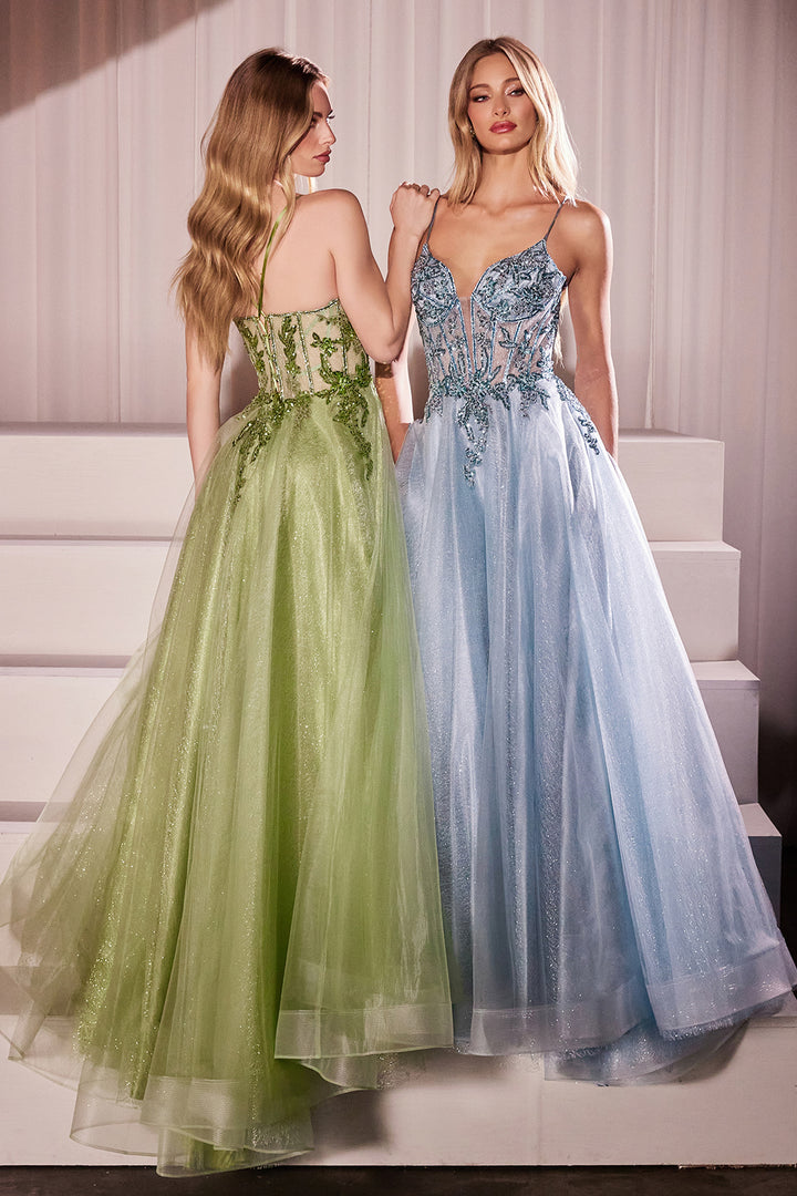 Applique Sleeveless Tulle Gown by Ladivine CC0881