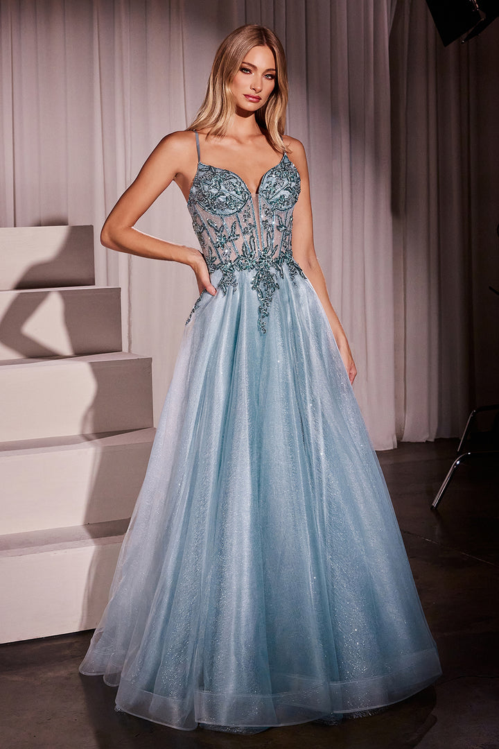 Applique Sleeveless Tulle Gown by Ladivine CC0881