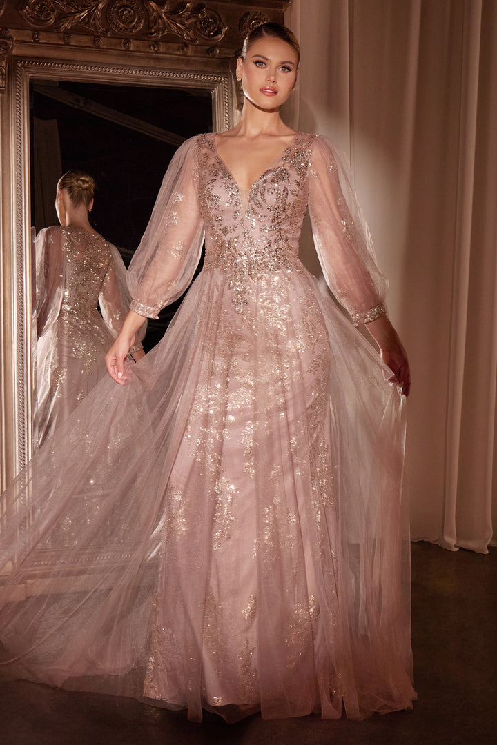 Beaded Long Sleeve A-line Gown by Ladivine CD0102