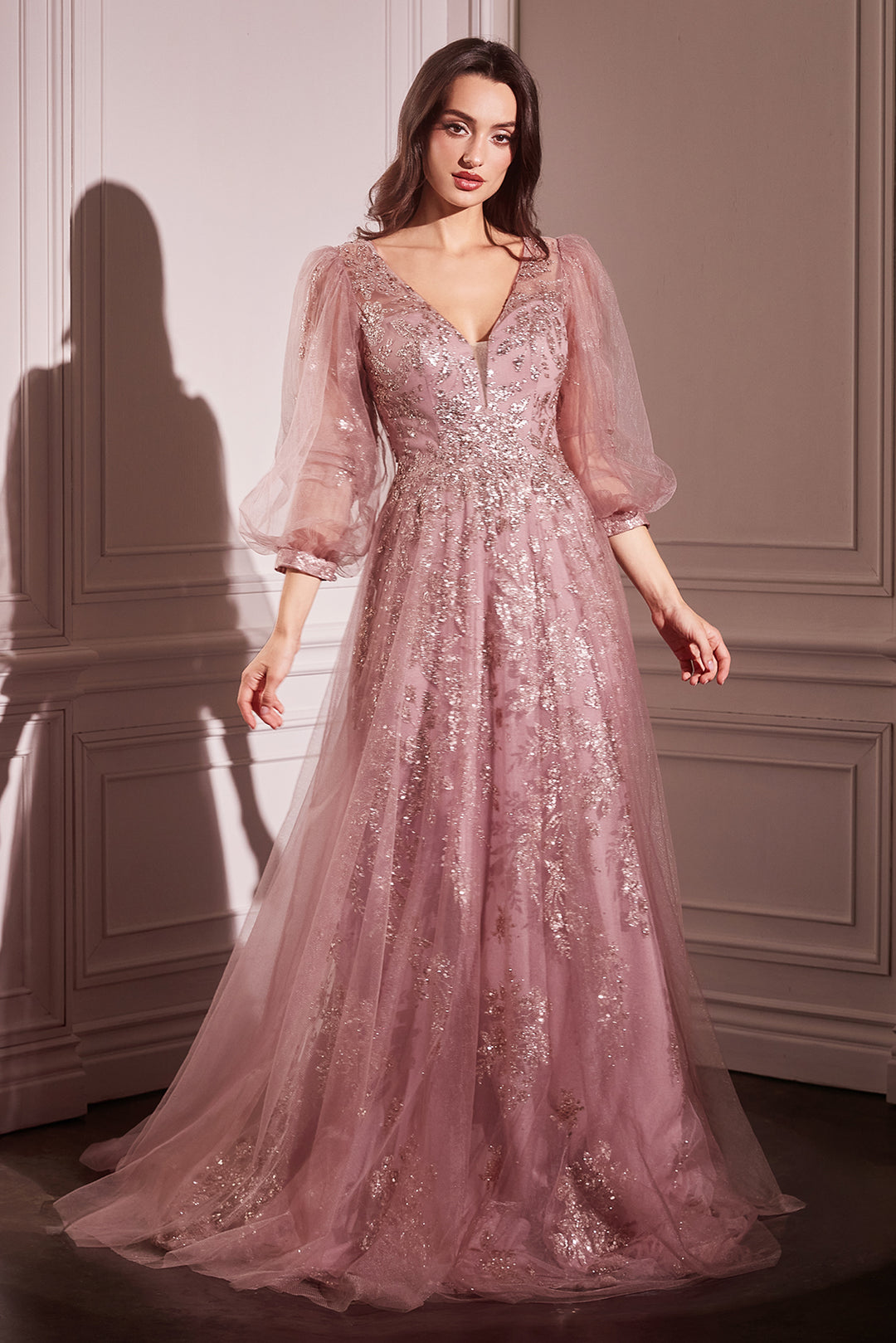 Beaded Long Sleeve A-line Gown by Ladivine CD0102