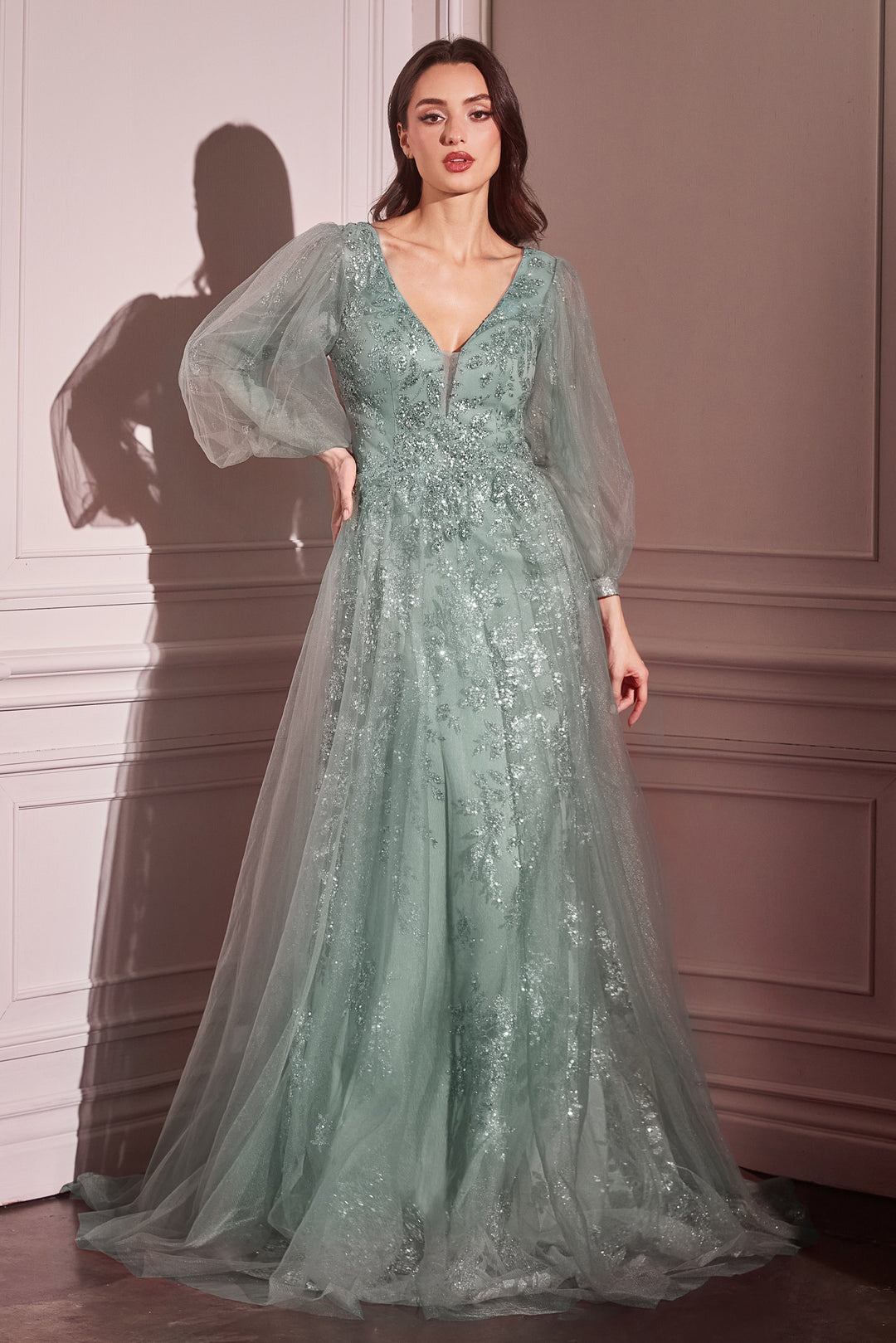 Beaded Long Sleeve A-line Gown by Ladivine CD0102