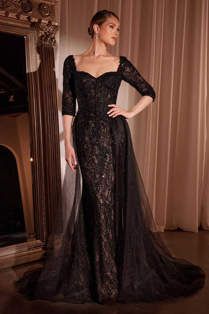 Applique Mid-Sleeve Overskirt Gown by Ladivine CD749