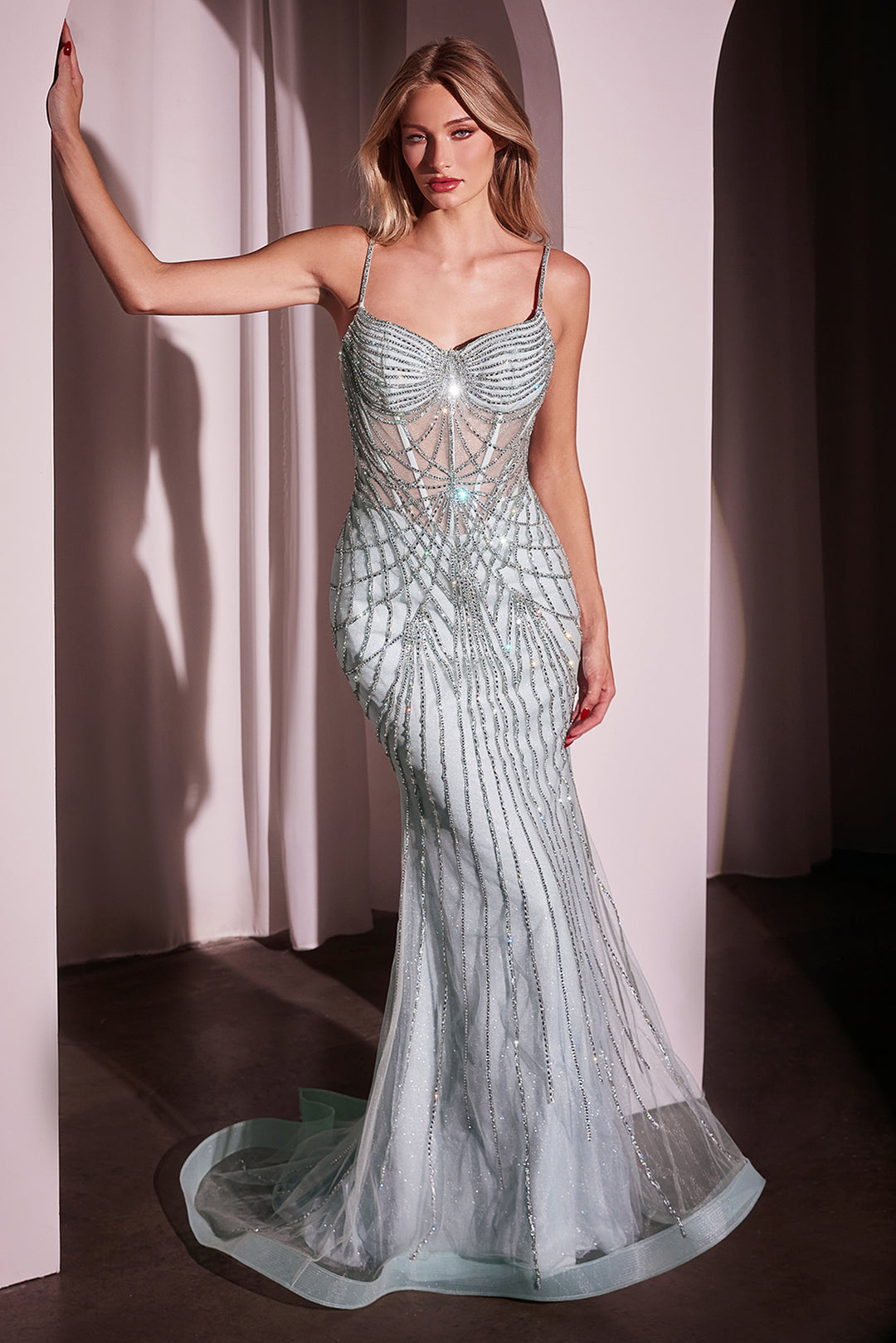 Beaded Fitted Sleeveless Gown by Ladivine CD766