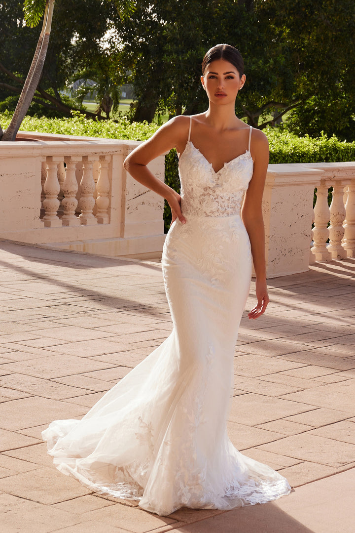 Applique Fitted V-Neck Bridal Gown by Nox Anabel JW239