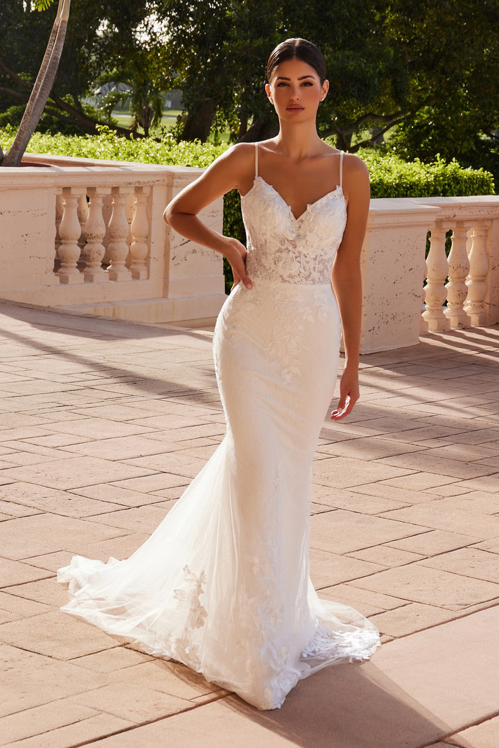 Applique Fitted V-Neck Bridal Gown by Nox Anabel JW239