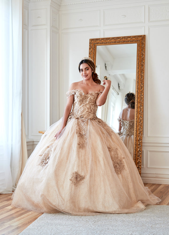 3D Floral Off Shoulder Glitter Ball Gown by Calla KY73112