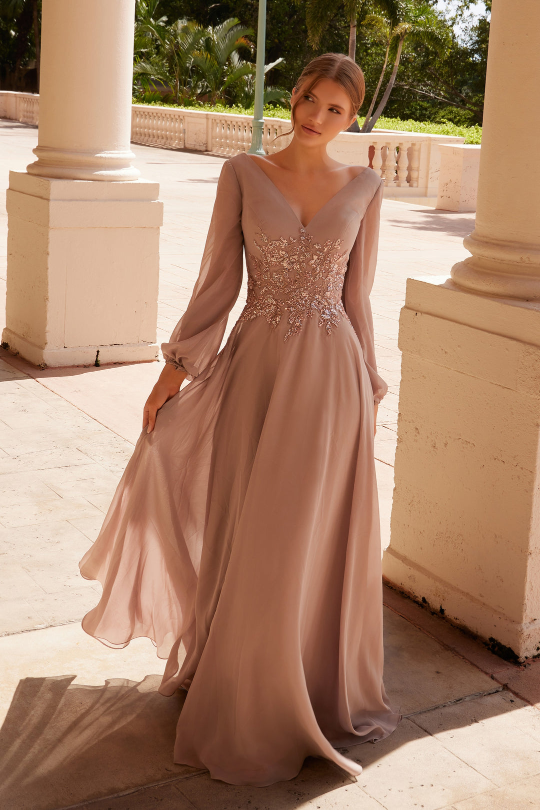 Chiffon Lang Sleeve Gown by Nox Anabel ME128