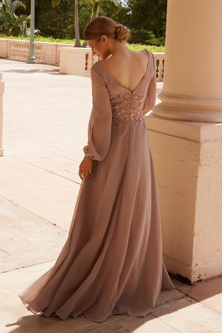 Chiffon Lang Sleeve Gown by Nox Anabel ME128