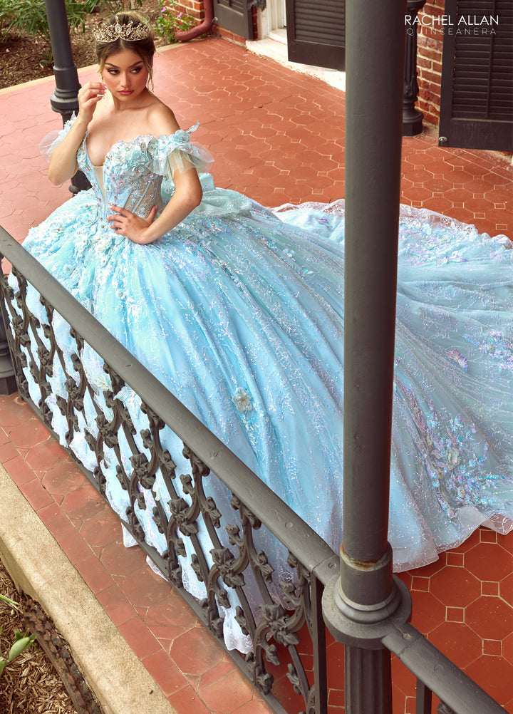 3D Butterflies Quinceanera Dress by Rachel Allan RQ3149